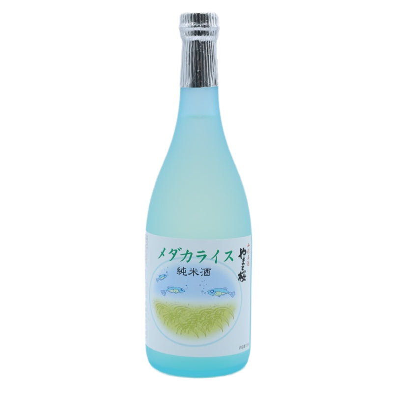 純米酒 メダカライス